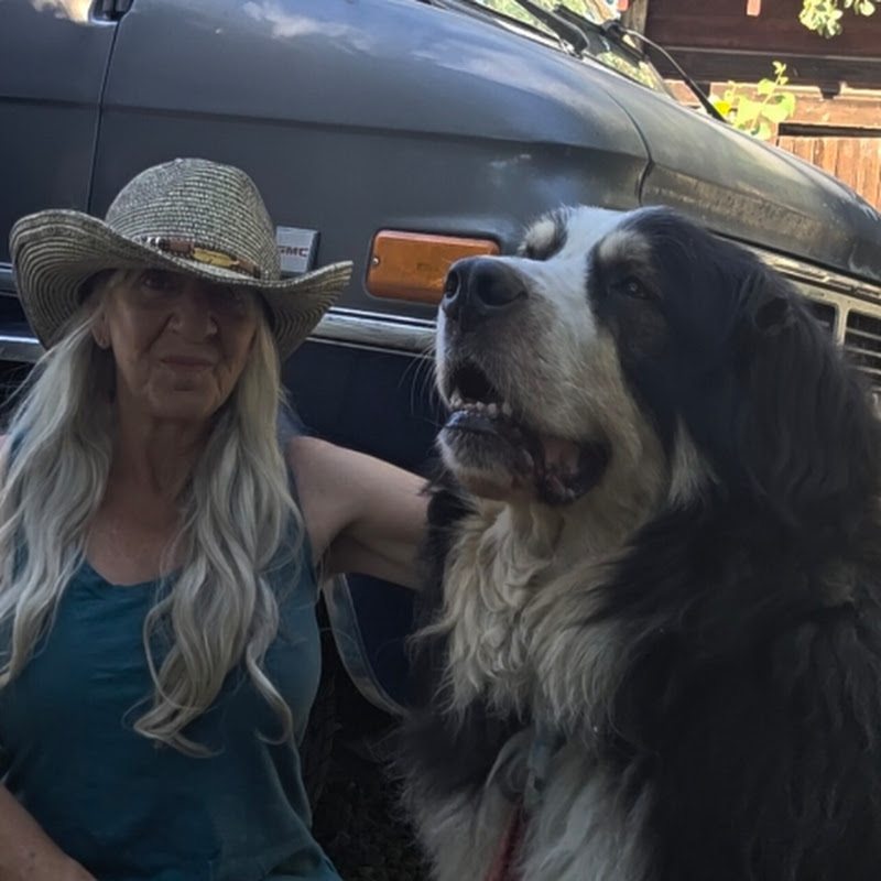Alberta Betsy's Van Life 
