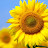@fairytale_1min