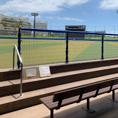 目指せプロ草野球選手アイコン画像