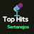 Top Hits Sertanejo