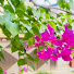 4TY6ljFnXMU-channel-avatar-Story with sahanaj