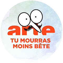 Tu mourras moins bête - ARTE