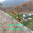 Zapsu57CRd0-channel-avatar-SN Shahid Photography