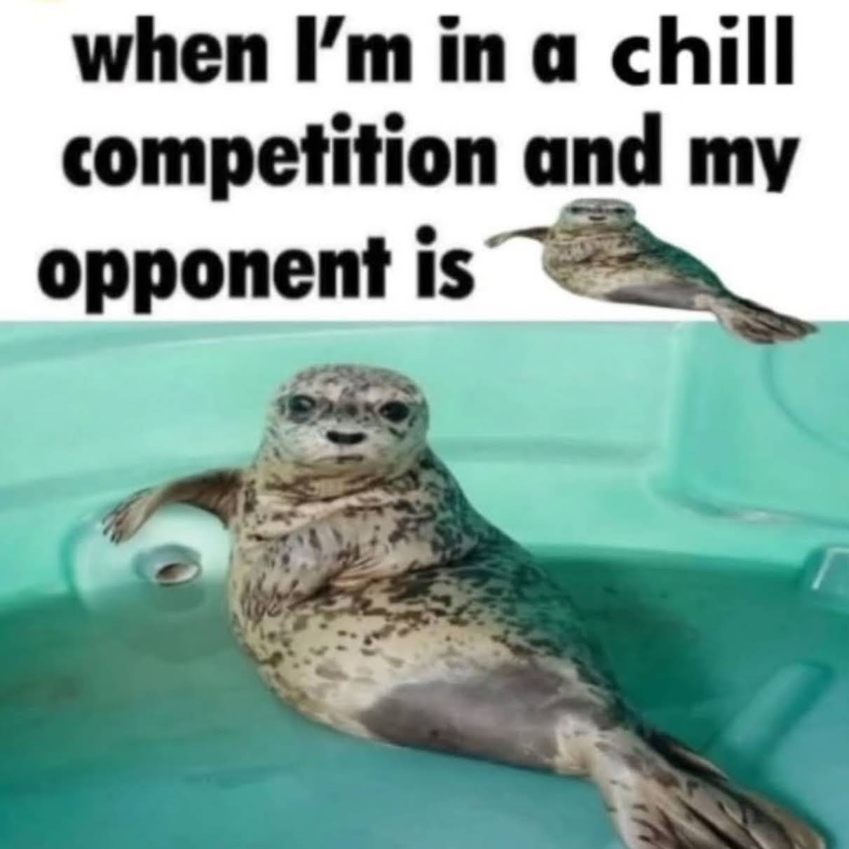 Post from Meme Asylum