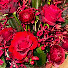 0--FJ_1aD8w-channel-avatar-NI_KP_SN_ST_RMPG_EN-
