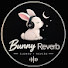 DpLKUd9UXZo-channel-avatar-Bunny Vibes