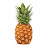 Little Pineapple