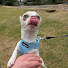 8EkFZeBQles-channel-avatar-Miggie Is Cool