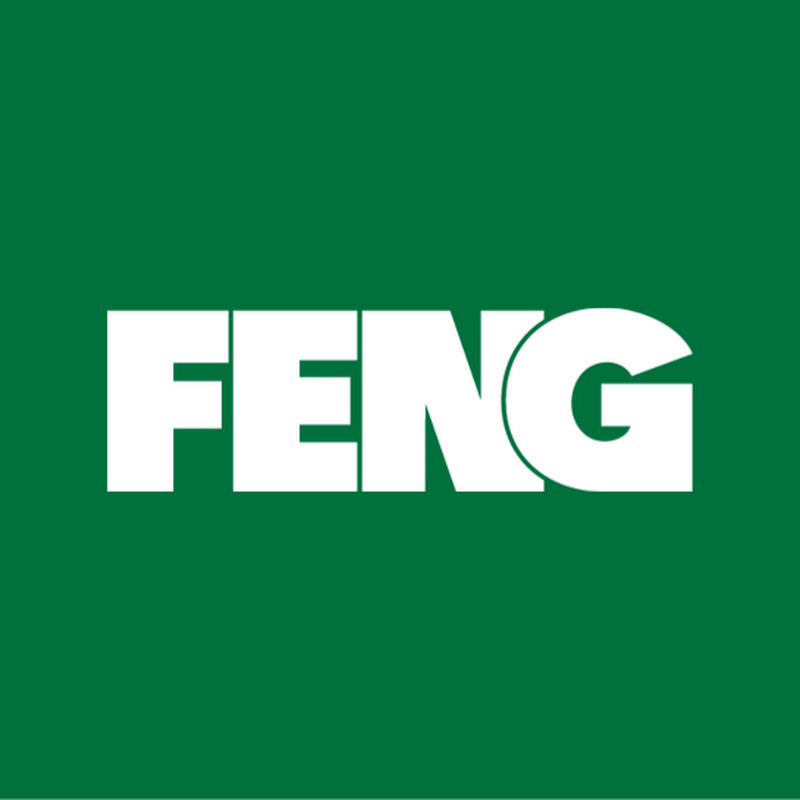 The Financial Executives Networking Group