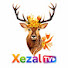 8tgnuCX2aDU-channel-avatar-Xezal TV