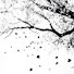 rRS2j2bqZuo-channel-avatar-Defy