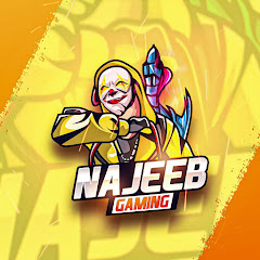 Najeeb Gaming net worth