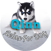 Qinn - Relax For Dog