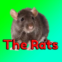 The Rats Avatar