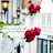 @reday2a4ss6i8n