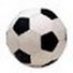sD4xdXGhxys-channel-avatar-sports4life