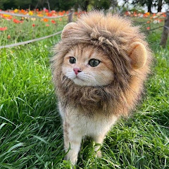 インライ見逃し配信🎥