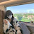 @BennettElsie-y5n Avatar