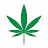 @hempwizard710
