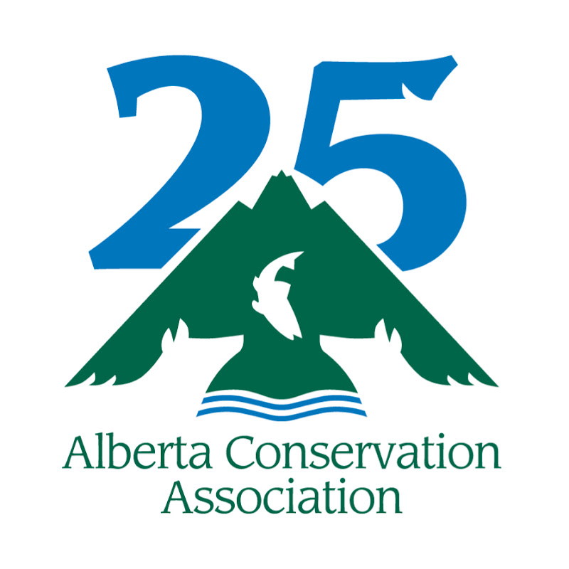 U of A Peregrine Falcon Camera logo