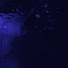 98x5A-9uPos-channel-avatar-Dark Music Class