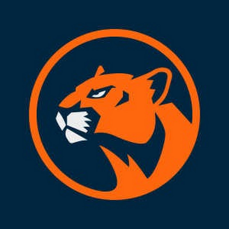 Cheetah Media