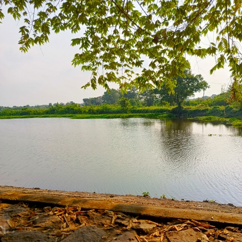 The Mancing 