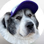 Ritchie the PYR Official