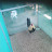 @traigaquocdanh8463