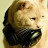 Audio_Cat