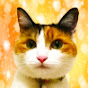 優ゆう　猫と暮らしてみた♬