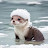 @begin00jamooni