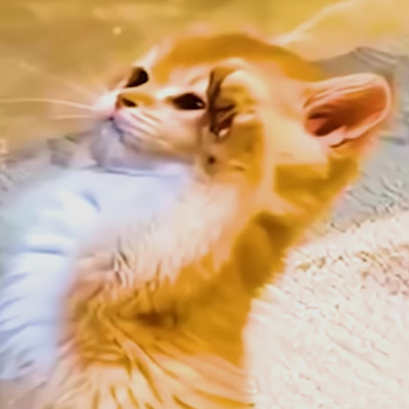 Dozix