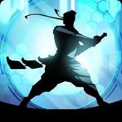 Shadow Fighter!