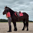 PE2Va7B2XjM-channel-avatar-Ella & Horses
