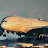 Avatar de @EtihadAirways_editz