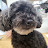 @별이일상
