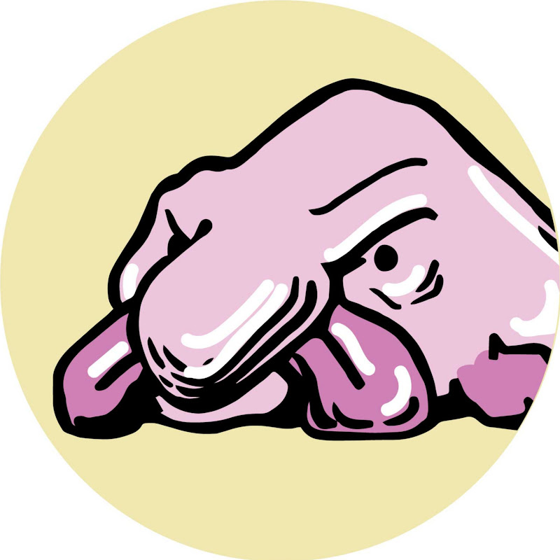 bigfatfrown