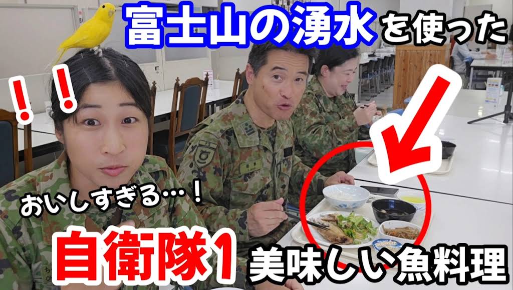 ちっぴぃ ちっぴぃちゃんズの自衛隊チャンネル - YouTube