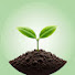 USpfkSY3xQU-channel-avatar-Urban Sprout