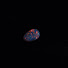 z-AK7IPy2zo-channel-avatar-Metrowest Opal