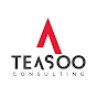 Teasoo Consulting logo