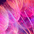 @Farah__Moroccan-1