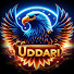 rUT6YwnPcRU-channel-avatar-uddari.         