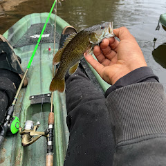 Reelin With Ron