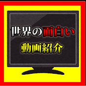 世界の面白動画(セカオモ)