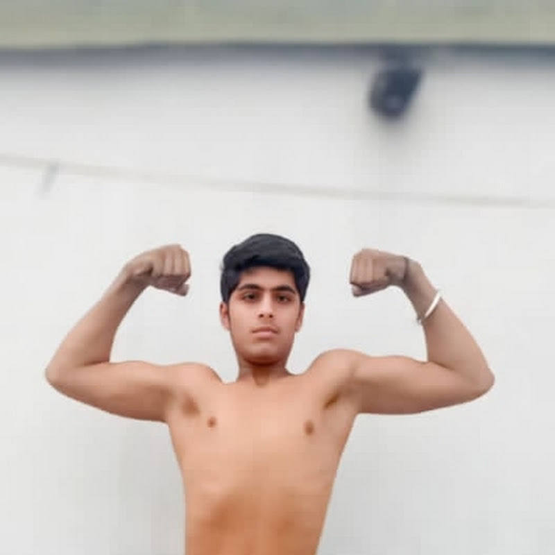 Shivam fitness a399