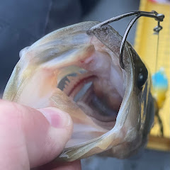 The Swearing Angler