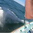 2OLo12GqVso-channel-avatar-Steve Porteous
