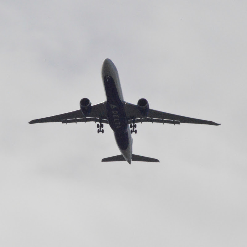MN Spotter